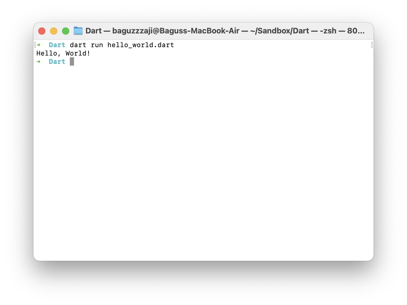 Terminal menampilkan output Hello, World setelah perintah dart run hello_world.dart