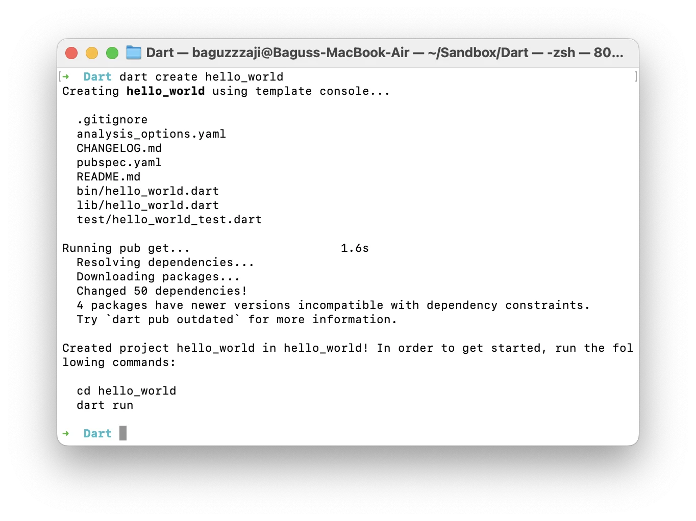 Output perintah dart create hello_world yang membuat struktur project baru di terminal