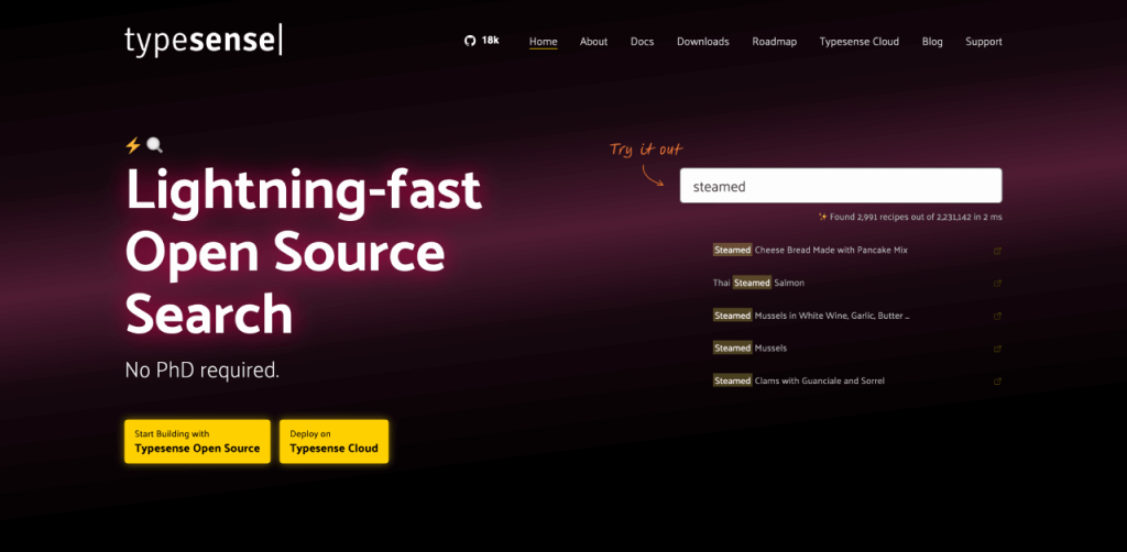 Laman beranda situs Typesense dengan tagline Lightning-fast Open Source Search