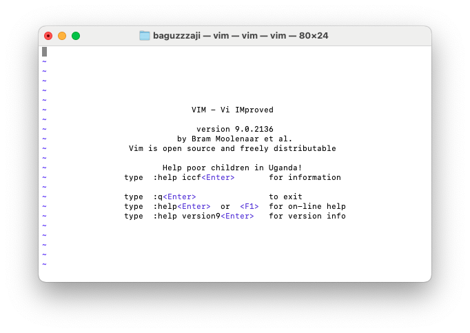 Tampilan Vim